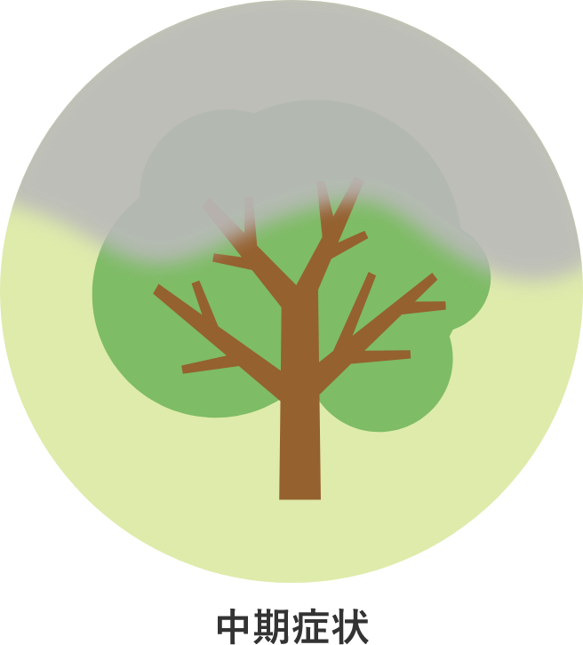 中期症状