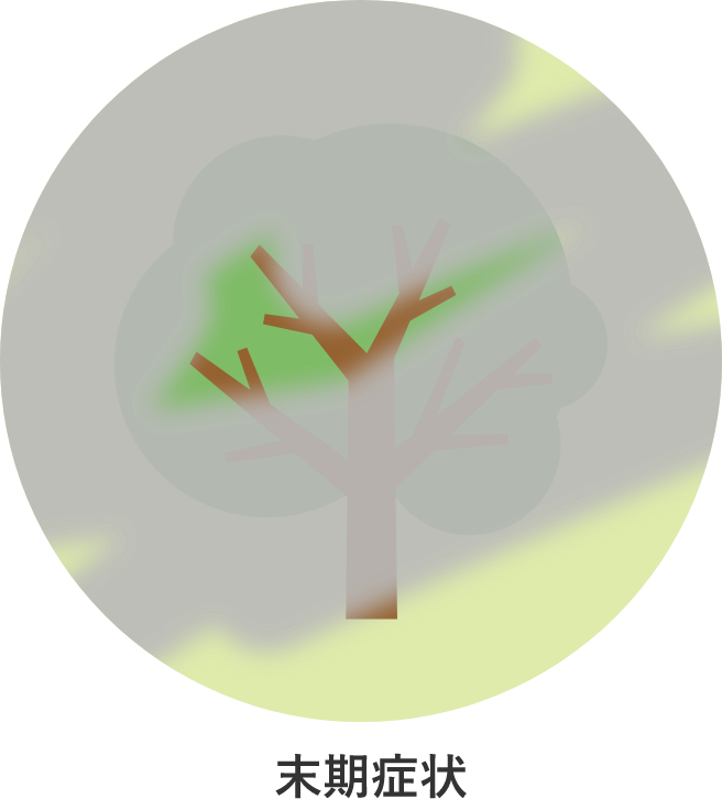 末期症状